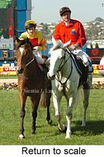 Return to scale (14117 bytes)