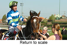 Return to scale (14117 bytes)