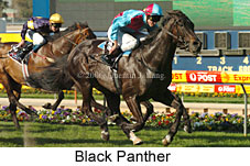 Black Panther (16544 bytes)