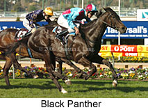 Black Panther (16544 bytes)