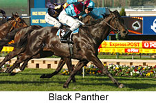 Black Panther (16544 bytes)