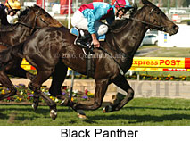 Black Panther (16544 bytes)