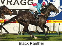 Black Panther (16544 bytes)