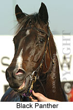 Black Panther (16544 bytes)