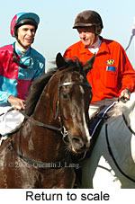 Return to scale (14117 bytes)