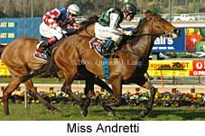 Miss Andretti (18294 bytes)