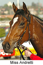 Miss Andretti (16544 bytes)