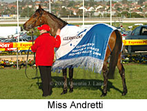 Miss Andretti (16544 bytes)