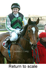 Return to scale (14117 bytes)