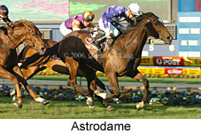 Astrodame (18294 bytes)