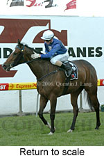 Return to scale (14117 bytes)