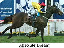 Absolute Dream (16544 bytes)