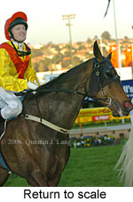 return to scale (14117 bytes)