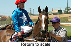 Return to scale (15472 bytes)