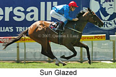 Sun Glazed (16727 bytes)