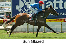 Sun Glazed (16727 bytes)