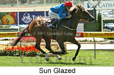 Sun Glazed (16727 bytes)