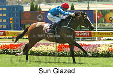 Sun Glazed (16727 bytes)