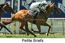 Petite Briefs (16727 bytes)