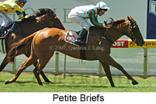 Petite Briefs (16727 bytes)