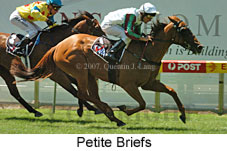 Petite Briefs (16727 bytes)