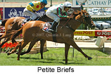 Petite Briefs (16727 bytes)