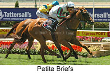 Petite Briefs (16727 bytes)