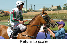 Return to scale (15472 bytes)