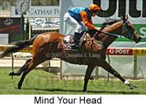 Mind Your Head (16727 bytes)