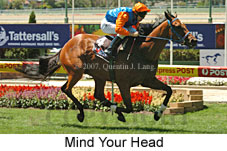 Mind Your Head (16727 bytes)