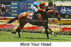 Mind Your Head (16727 bytes)