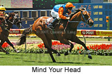 Mind Your Head (16727 bytes)