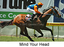 Mind Your Head (16727 bytes)