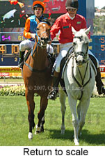 Return to scale (15472 bytes)