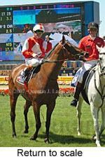 Return to scale (15472 bytes)