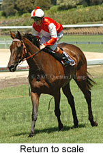 Return to scale (15472 bytes)