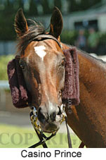 Casino Prince (16727 bytes)