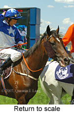 Return to scale (15472 bytes)