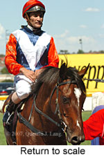 Return to scale (15472 bytes)