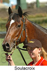 Soulacroix (16727 bytes)