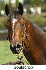 Soulacroix (16727 bytes)