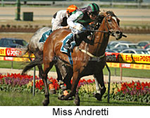 Miss Andretti (16727 bytes)