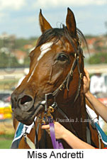 Miss Andretti (16727 bytes)