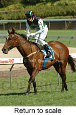 Return to scale (15472 bytes)