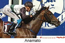 Anamato (16727 bytes)