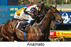 Anamato (16727 bytes)