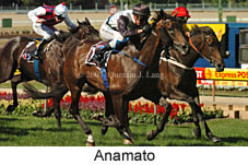 Anamato (16727 bytes)