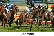 Anamato (16727 bytes)