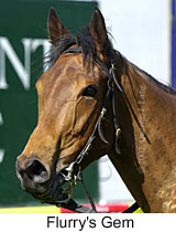 Flurry's Gem (12491 bytes)