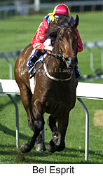 r2belesprit.jpg (14859 bytes)